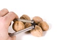 Cracking Walnuts