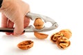 Cracking the whole walnut