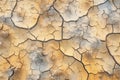 crackled desert dry mud Royalty Free Stock Photo