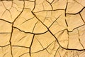 The crackled earth Royalty Free Stock Photo