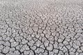 Crackled earth texture of dry lake