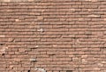 Crackled shingle roof Royalty Free Stock Photo