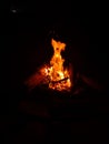 Vibrant flame of fire at night campfire illuminates Royalty Free Stock Photo