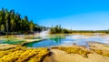 Crackling Lake in the Porcelain Basin of Norris Geyser Basin area in Yellowstone National Park in Wyoming, USA