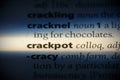 Crackpot Royalty Free Stock Photo