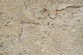 Cracks in the concrete of a vacant industrial building in Magdeburg