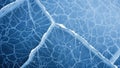 The cracks create a visual contrast against the smoother areas of the ice Royalty Free Stock Photo