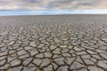 Cracks in the dried mud on the edge of the Vaccares pond Royalty Free Stock Photo