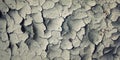 Cracks in the dried soil. Aged photo. Royalty Free Stock Photo