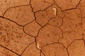 Cracks of the dried soil in arid season / Arid soil , Cracked earth texture of ground broken and rough surface red mud clay Royalty Free Stock Photo