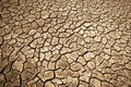 Cracks in the dried soil