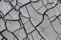 Cracks of the dried soil