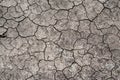 Cracks of the dried soil texture in arid season