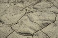 Cracks in the dry ground. Drought background Royalty Free Stock Photo