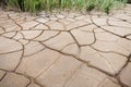 Cracks in dry land Royalty Free Stock Photo