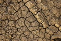 Cracks on dry soil close up, arid ground