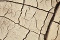 Cracks in the earth in rural areas. Ground texture background. Royalty Free Stock Photo