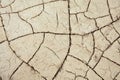 Cracks in the earth in rural areas. Ground texture background. Royalty Free Stock Photo