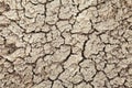 Cracks in the earth in rural areas. Ground texture background. Royalty Free Stock Photo