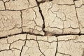 Cracks in the earth in rural areas. Ground texture background. Dry soil abstract photo Royalty Free Stock Photo