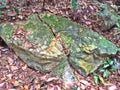 Cracks in granite rock outcrop