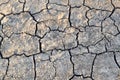 Cracks in the ground. Dry, dehydrated soil. Drought. Ecological catastrophy Royalty Free Stock Photo