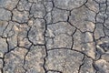 Cracks in the ground. Dry, dehydrated soil. Drought. Ecological catastrophy Royalty Free Stock Photo