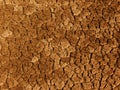 Cracks ground soil Royalty Free Stock Photo