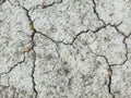 Cracks in the ground texture with dry leaf Royalty Free Stock Photo