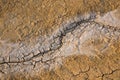 Cracks in a ground two Royalty Free Stock Photo