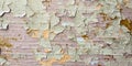 Cracks in the plaster - grunge texture Royalty Free Stock Photo