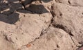 Cracks in the soil and dry soil