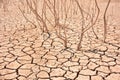 Cracks in soil due to drought