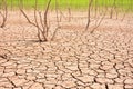 Cracks in soil due to drought