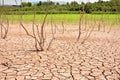 Cracks in soil due to drought