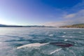 Cracks on the surface of the blue ice. Frozen lake in winter mountains on Lake Baikal