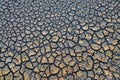 Cracks on the surface of the earth are altered by the shrinkage of mud due to drought Royalty Free Stock Photo