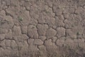 Cracks on the surface of the earth due to an arid climate.