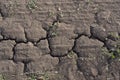 Cracks on the surface of the earth due to drought. Texture Royalty Free Stock Photo
