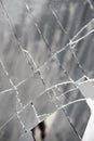 cracks texture of broken mirror, glass, Metaphor for shattered, Broken Dreams, Artistic Representation of Fragility, Safety Royalty Free Stock Photo