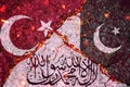 Turkey-Pakistan-Taliban relations