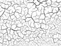 The cracks texture white and black. Vector background.Cracked earth Royalty Free Stock Photo