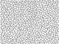 The cracks texture white and black. Vector background. Royalty Free Stock Photo