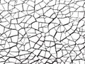 The cracks texture white and black. Vector background.