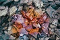 Cracks of vibrant sandstone. The pattern of the variegated sandstones. Layers of toned colored mica stones. Rock Landslide. Shiny Royalty Free Stock Photo