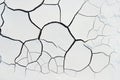 Cracks white texture earth Royalty Free Stock Photo