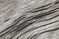 Cracks of wood texture, Natural patterns Royalty Free Stock Photo