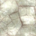 Cracky repeating brilliant porcellaneous pattern Royalty Free Stock Photo