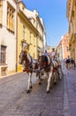 Cracow (Krakow)-Poland- horse carriage tour Royalty Free Stock Photo