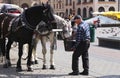 Coachman watering the horses at the horse drawn cabs stop.